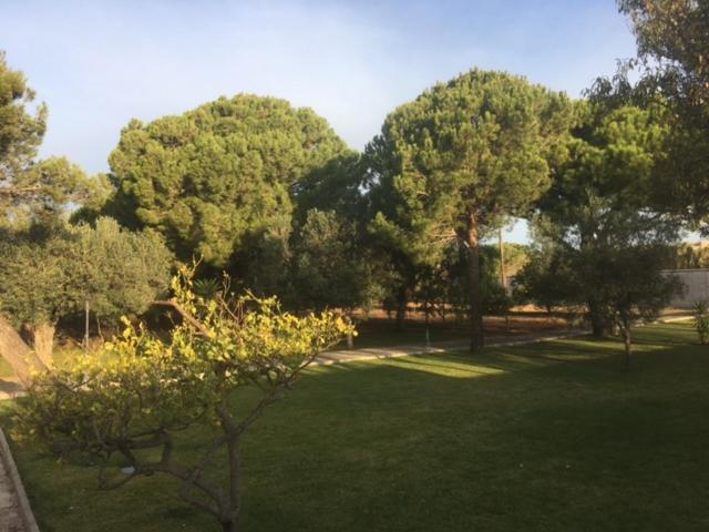 Villa Torrealta, 4000 M2 Cadiz Exterior photo